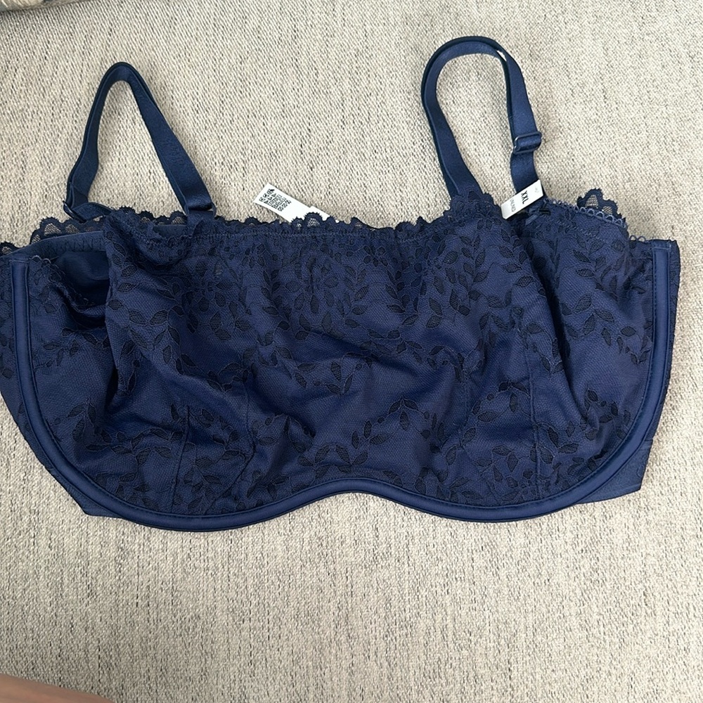 Victoria’s Secret pink blue bra size XXL